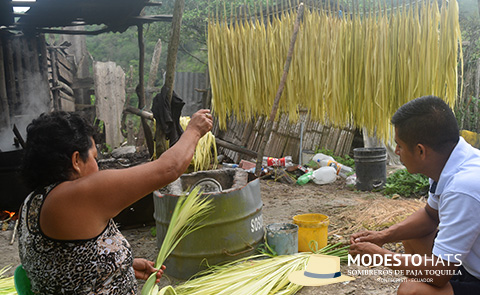 secado la paja toquilla