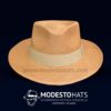 fedora havana