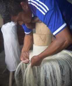 tejiendo el sombrero fino montecristi